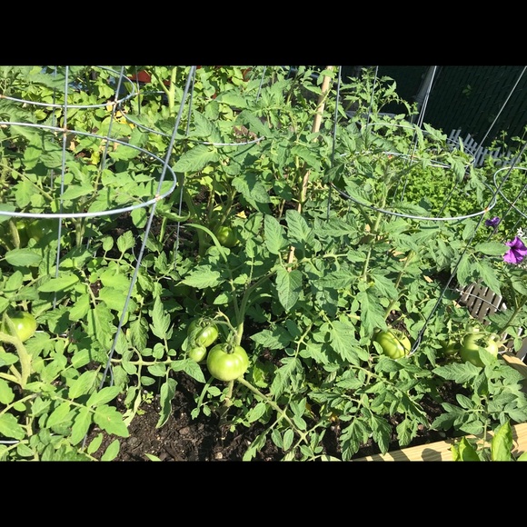 Meet your Posher, Sara Rose - Picture 9 of 12